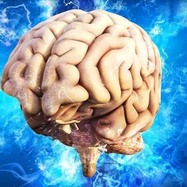 İnmeye robotik çözüm