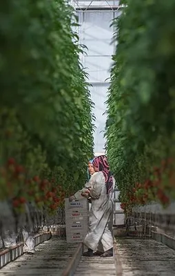 Üreticiye 'süper' teşvikler yolda