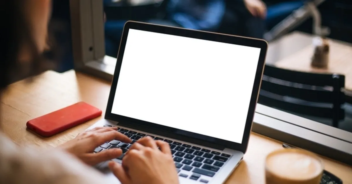 meb ve belediyelerin bedava ucretsiz