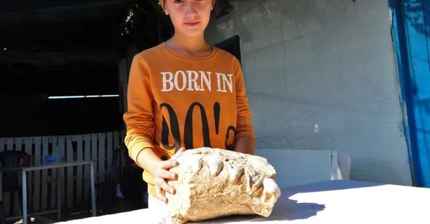 10 yaşındaki Elçin buldu! Milyonlarca yıllık fosil olabilir