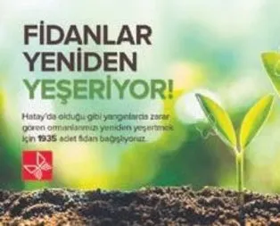 Kelebek Mobilya’dan 1935 fidan bağışı