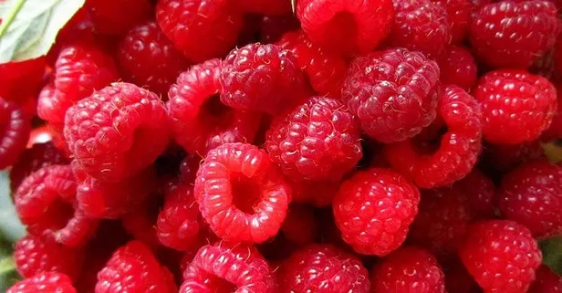 Ahududuyla isteksizliği unut!