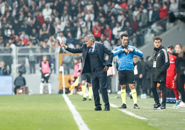 besiktas-teknik-direktoru-senol-gunes-umraniyespor-galibiyeti-sonrasi-konustu-dele-alliye-daha-dokunamadik-1667155478146.jpg Beşiktaş Teknik Direktörü Şenol Güneş Ümraniyespor galibiyeti sonrası konuştu: Dele Alli'ye daha dokunamadık-8