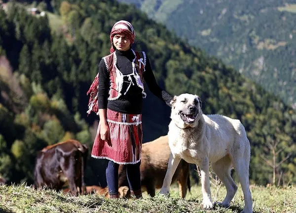 Cumhurbaşkanı Erdoğan'dan Hamdu Sena’ya davet-4