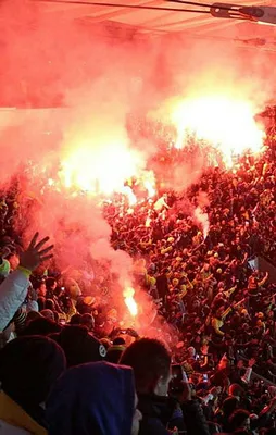 Beşiktaş-Fenerbahçe maçındaki skandala dava