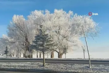 Erzurum Ovası eksi 24 ile buz kesti