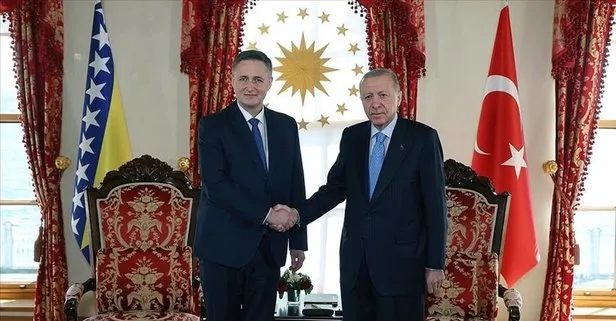 Başkan Erdoğan Bosna Hersek Devlet Başkanlığı Konseyi Üyesi Denis Becirovic’i kabul etti