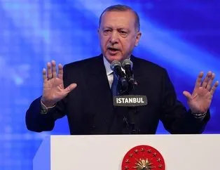 ABD’nin uydurma Başkan Erdoğan anketi tepki çekti