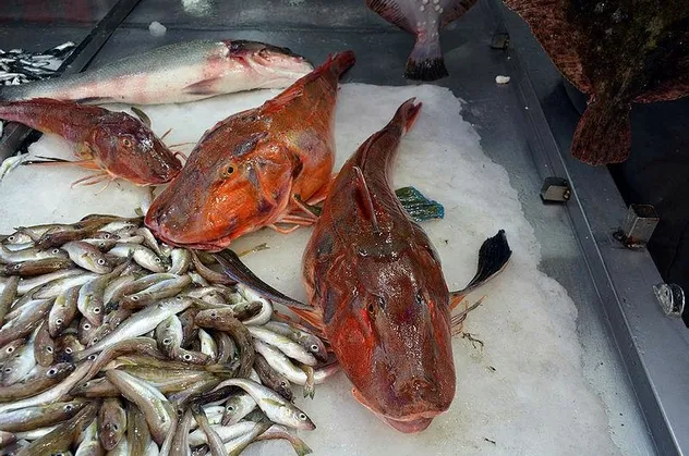 Tanesi tam 5 kilo! 500 TL'den satılıyorlar
