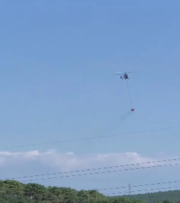 SON DAKİKA: Korkutan yangın haberleri peş peşe geldi! İzmir ve İstanbul'da orman yangınları-2