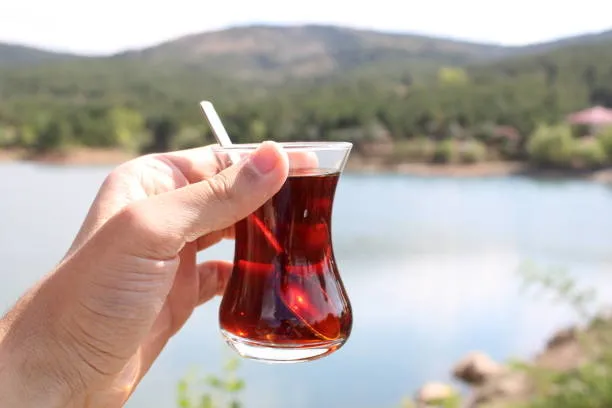 cayin-acisini-almak-icin-1-tatli-kasigi-yeterli-yillardir-yanlis-demliyormusuz-odullu-yontem-aciklandi-1700486965494.jpg Ödüllü yöntem açıklandı: Tavşan kanı çay için 1 tatlı kaşığı yeterli! Yıllardır yanlış demliyormuşuz!-6