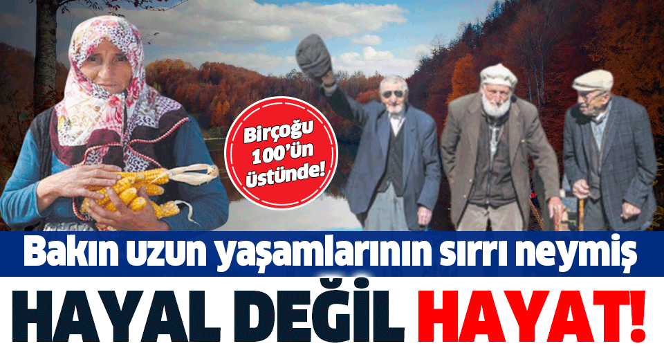 Ordu'nun Gölköy ilçesinde 100 yaşını deviren birçok kişi yaşıyor! İşte uzun yaşamlarının sırrı...