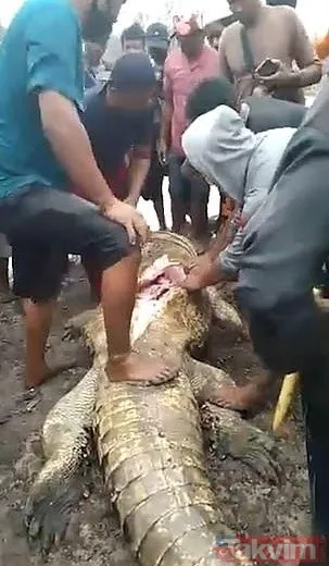 Endonezya’da timsahın karnından çıkanlar görenleri şoke etti! Balık tutan kadının vücudu...