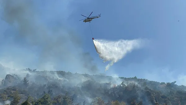 Aydın'da orman ve makilik alanda yangın çıktı-4