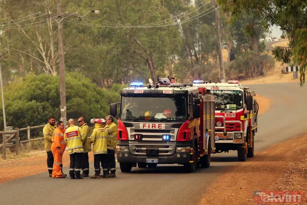 SON DAKİKA: Avustralya'da yangın faciası! 71 ev kül oldu - 14