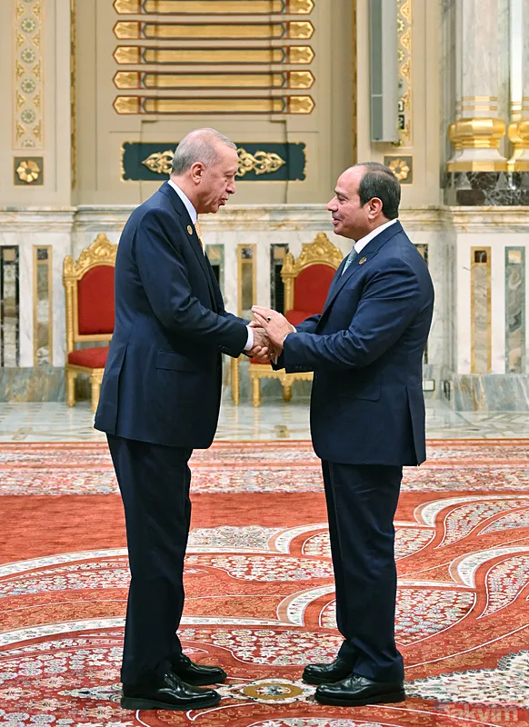 Kahire'de D-8 zirvesi! Sisi ve liderler Başkan Erdoğan'ı ayakta karşıladı - 3