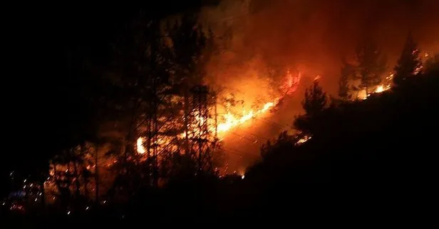 Alanya’da gece yarısı başlayan yangında 3 dekar alan yandı