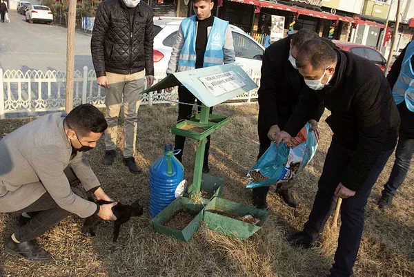 ogretmenler-sokak-hayvanlarinin-kisitlama-surecinde-ac-kalmamalari-icin-caddelere-mama-birakti-1609694611524.jpg Öğretmenler sokak hayvanlarının kısıtlama sürecinde aç kalmamaları için caddelere mama bıraktı-5