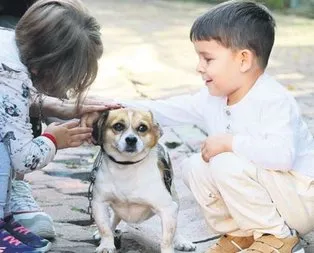 Garip ile bağlan hayata!