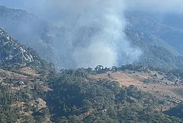 Muğla’da orman yangını
