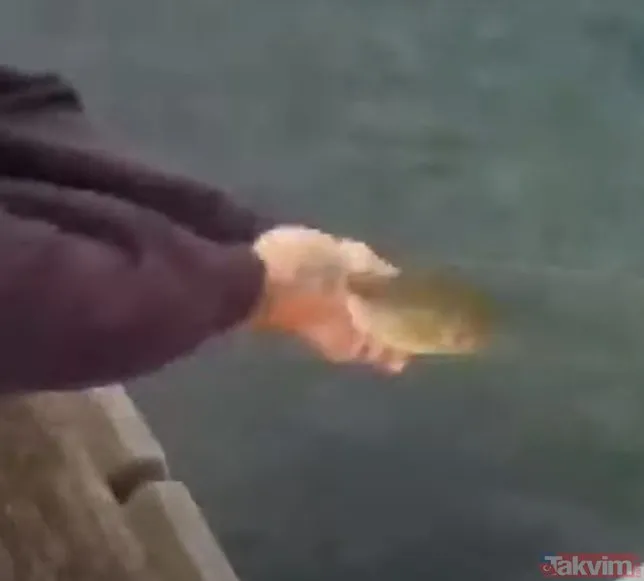 Olta ile yakaladığı balığın içinden bakın ne çıktı! Görenler gözlerine inanamadı