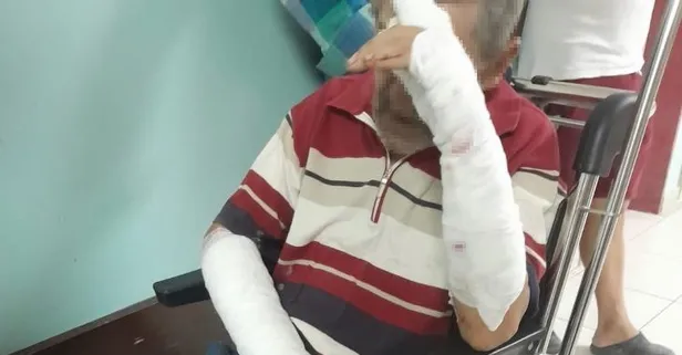 Balıkesir Manyas’ta yine başıboş köpek dehşeti! Yaşlı adam 5 köpeğin saldırısına uğradı