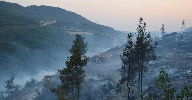 Bilecik’te çıkan orman yangını kontrol altına alındı