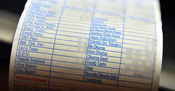 Elektrik desteği ne kadar, kimler nasıl yararlanır? Dar gelirlilere elektrik desteği başvuru şartları nedir?-2