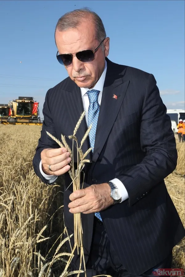 Başkan Erdoğan biçerdöverde buğday hasatı yaptı - 31
