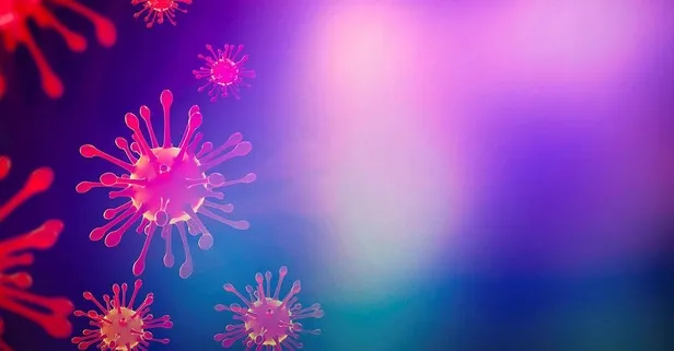 İki hastada koronavirüs mutasyonlarının ikisi aynı anda tespit edildi