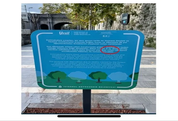 chpli-ibb-ciragan-caddesindeki-tarihi-cinarlari-katletti-avrupada-kanserli-agaclar-bakin-nasil-kesiliyor-ibbni-1647772258645.jpg CHP'li İBB Çırağan Caddesi'ndeki tarihi çınarları katletti! Avrupa'da kanserli ağaçlar bakın nasıl kesiliyor? İBB'nin yalanı böyle çürüdü-6