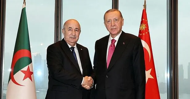 Başkan Erdoğan, Cezayir Cumhurbaşkanı Abdülmecid Tebbun ve Polonya Cumhurbaşkanı Andrzej Duda ile bir araya geldi