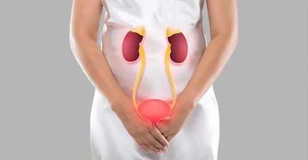 İdrar renginde yaşanan değişiklikler organların sağlığı hakkında önemli ipuçları veriyor