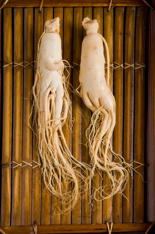bagisiklik-sistemini-guclendiren-ginseng-pandemide-patlama-yapti-1605335047972.jpg