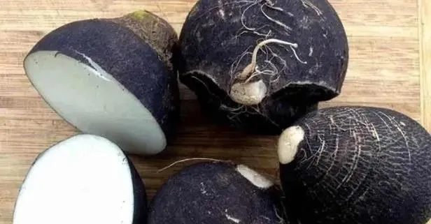 Öksürüğe çare siyah turp!