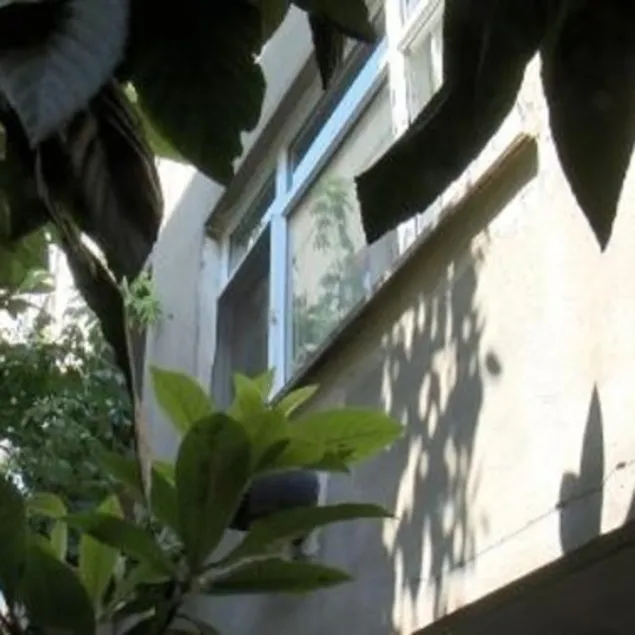 Evlat vahşeti: Anne ve babasını bıçakla öldürdü!