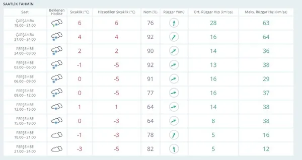 Kar ve buzlanma etkili olacak! Vatandaşlara önemli uyarı: İstanbul, Ankara, Kocaeli... | TÜRKİYE GENELİ HAVA DURUMU-5