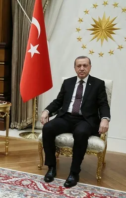 Cumhurbaşkanı Erdoğan, Steinmeier’i kabul etti