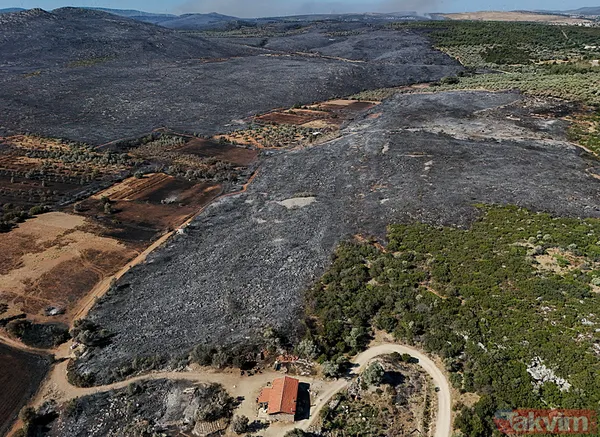 Çeşme yangınında zarar gören alanlar görüntülendi: Her şeyimiz yandı - 14