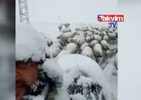 Sivas'ın 2 ilçesi beyaza büründü