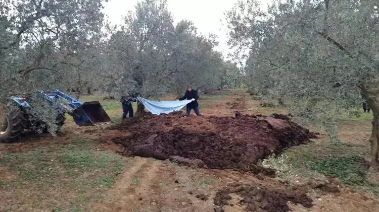 1720600605955.jpeg Boğazı kesilmiş halde hayvan gübresinin içine atılmıştı | Kan donduran cinayette yeni gelişme! Kırmızı bülten çıkarıldı-6