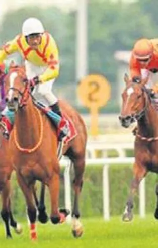 At yarışları başlıyor