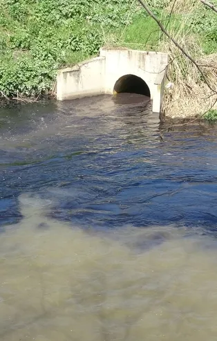 Kızıl ve siyah akan dereye "temiz" raporu! Vatandaş duruma isyan etti