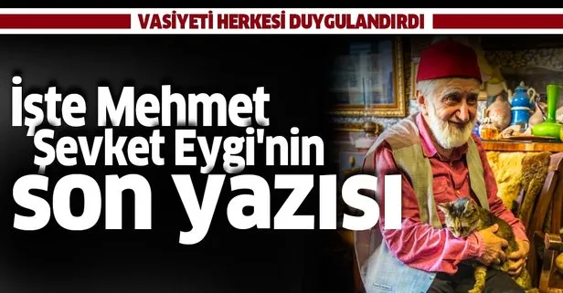 Mehmet Şevket Eygi’nin son yazısı