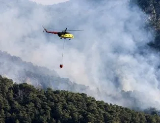 Antalya’da yine orman yangını