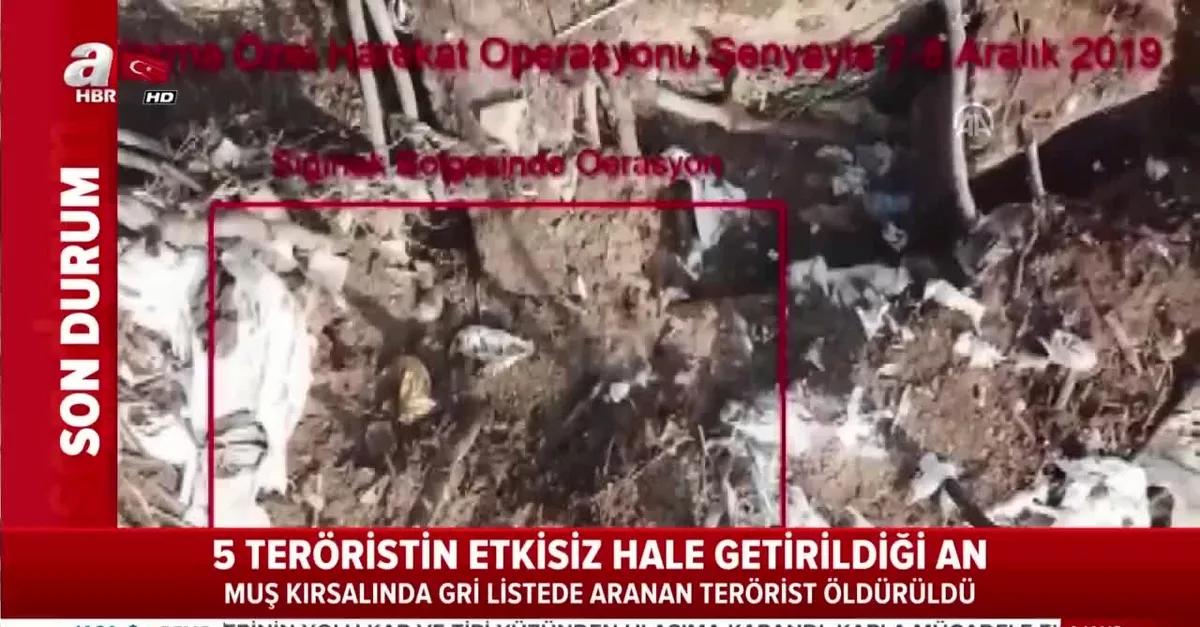 Muş'ta gri kategoride aranan teröriste operasyon anı kamerada | Video