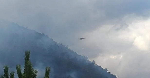 Bolu'da orman yangını kontrol altında!