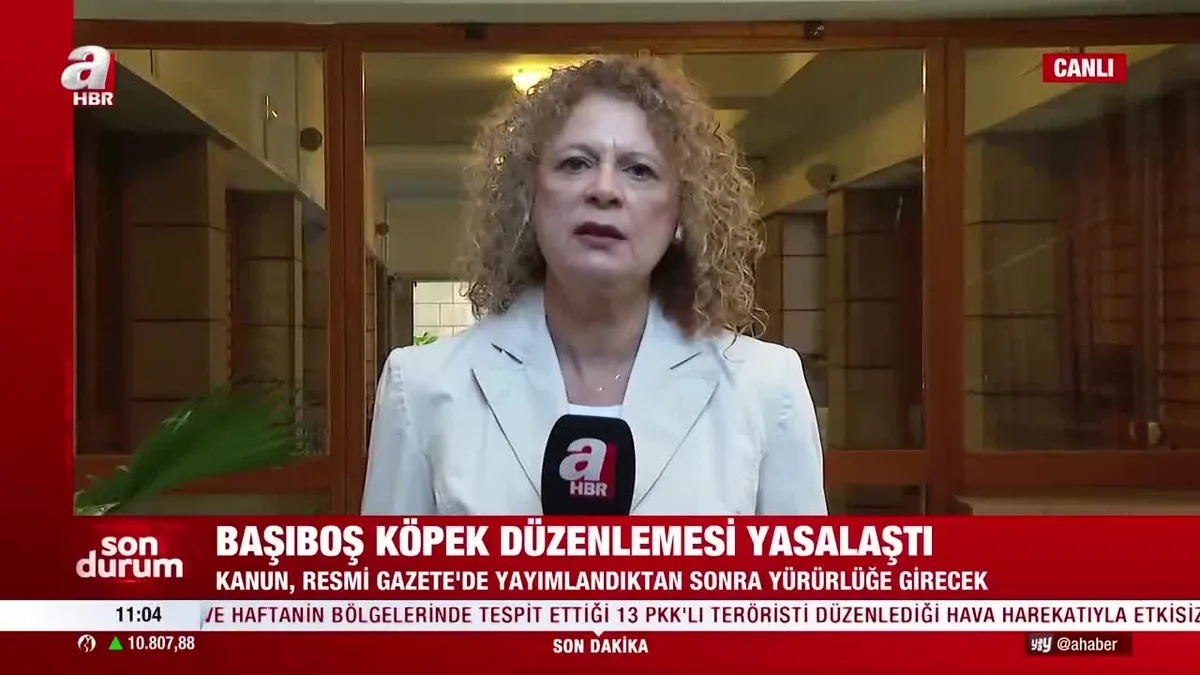 Başıboş köpek düzenlemesi yasalaştı