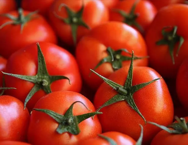 226 milyon dolarlık domates