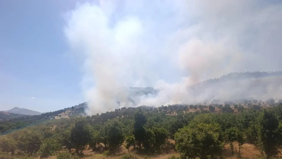 Balıkesir ve Diyarbakır'da orman yangını: Ekipler seferber oldu